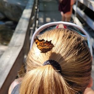 Meet your Posher, crystal